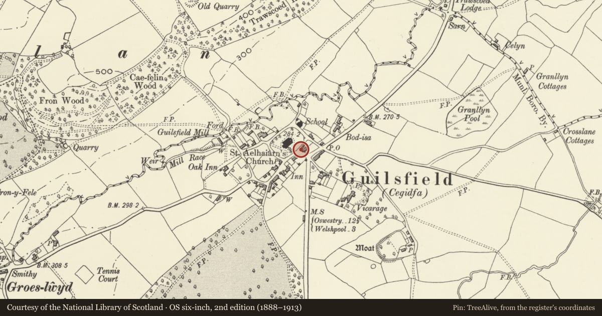 Ordnance Survey six-inch map, 2nd edition (1888–1913) covering the location of Trawscoed Cottage, Guilsfield, Powys, with a pin at the register's coordinates