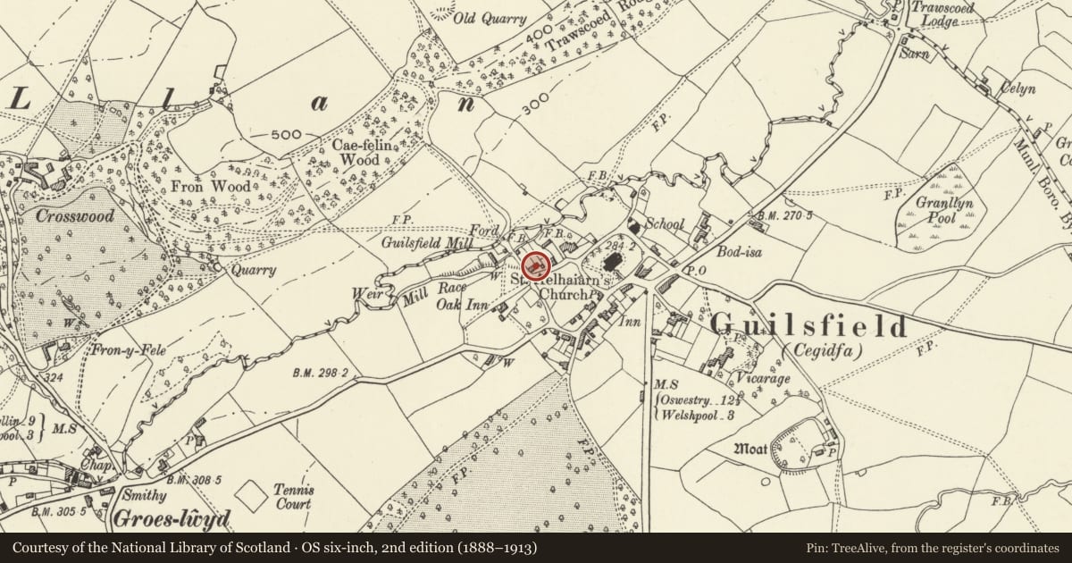Ordnance Survey six-inch map, 2nd edition (1888–1913) covering the location of Yew Tree, Guilsfield, Powys, with a pin at the register's coordinates