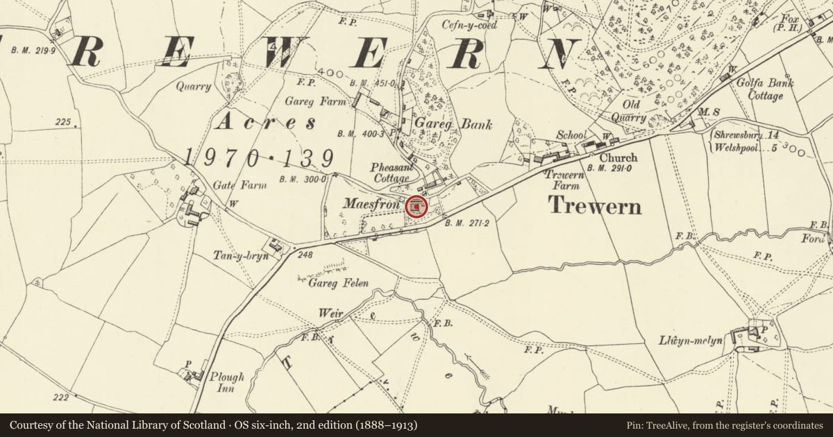 Ordnance Survey six-inch map, 2nd edition (1888–1913) covering the location of Maesfron, Trewern, Powys, with a pin at the register's coordinates