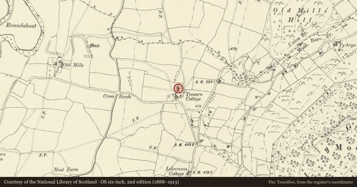 Ordnance Survey six-inch map, 2nd edition (1888–1913) covering the location of Trewern Cottage, Powys, with a pin at the register's coordinates
