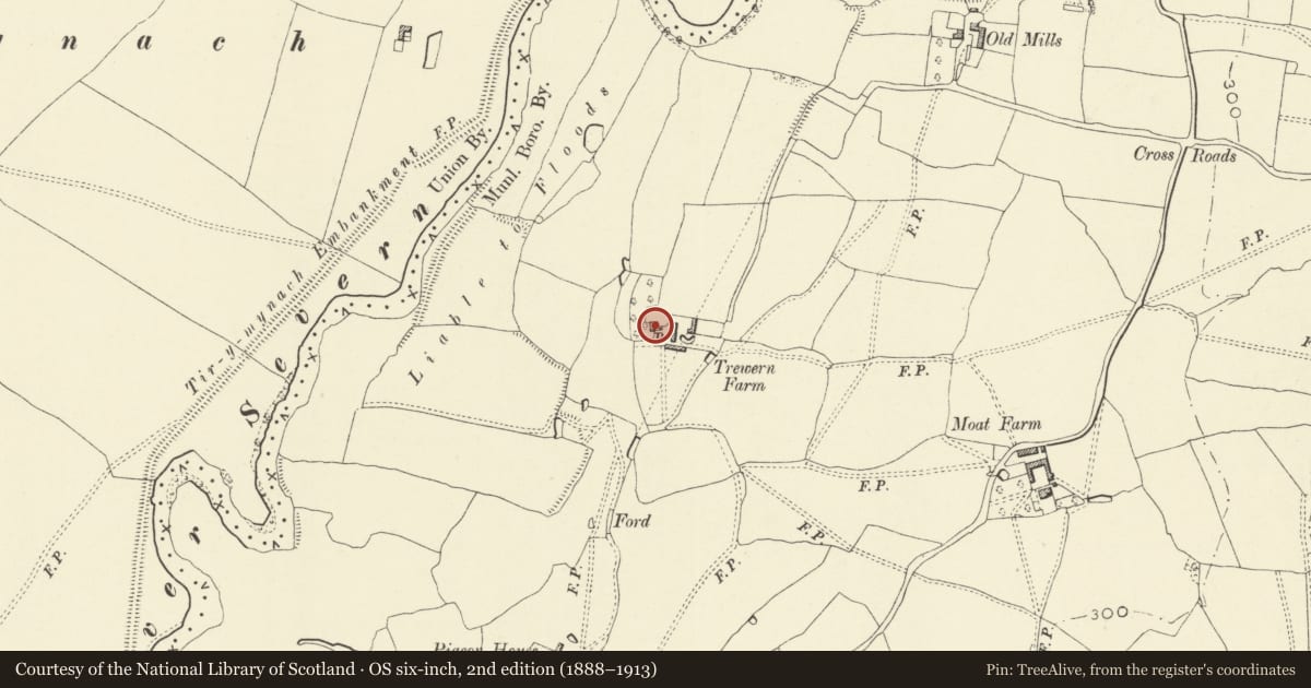 Ordnance Survey six-inch map, 2nd edition (1888–1913) covering the location of Trewern Farm (North) Farmhouse, Powys, with a pin at the register's coordinates