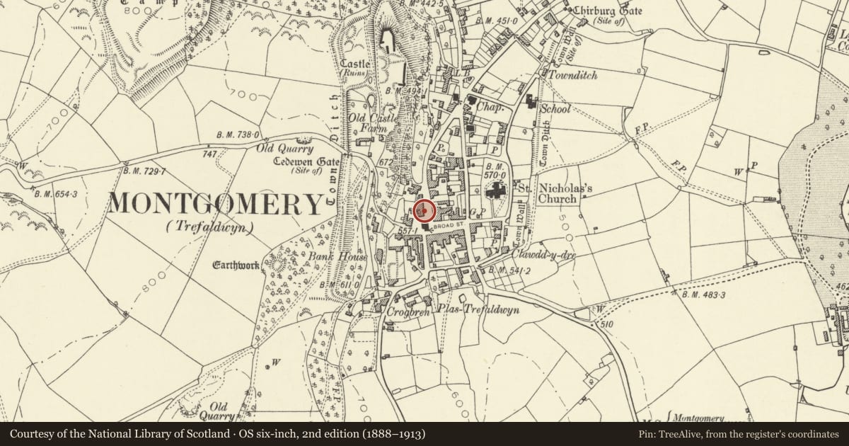 Ordnance Survey six-inch map, 2nd edition (1888–1913) covering the location of Old Stores House and Old Market Square Cottage, Montgomery, Powys, with a pin at the register's coordinates