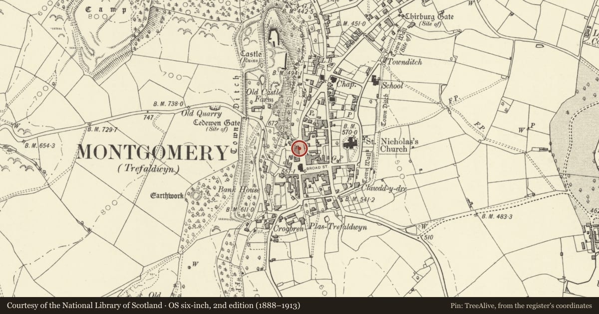 Ordnance Survey six-inch map, 2nd edition (1888–1913) covering the location of 9 Arthur Street, Montgomery, Powys, with a pin at the register's coordinates