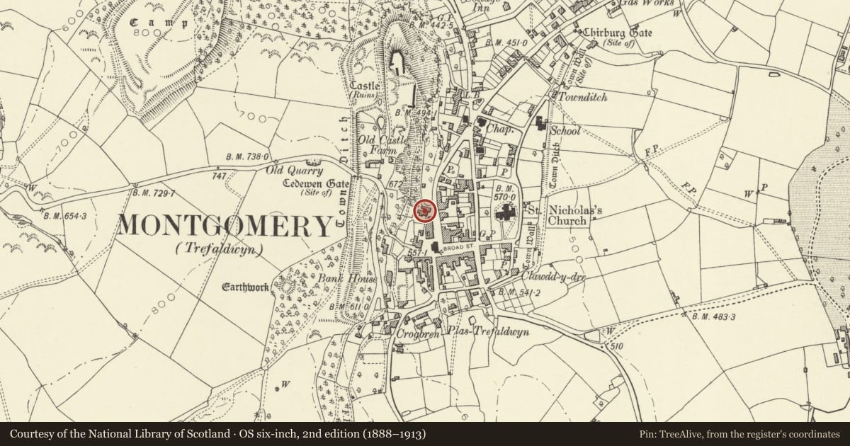 Ordnance Survey six-inch map, 2nd edition (1888–1913) covering the location of Mytton House, Montgomery, Powys, with a pin at the register's coordinates