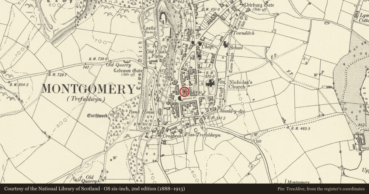 Ordnance Survey six-inch map, 2nd edition (1888–1913) covering the location of 1 Arthur Street, Montgomery, Powys, with a pin at the register's coordinates
