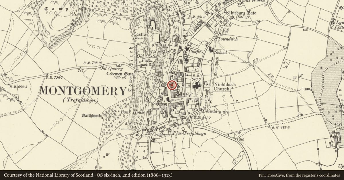 Ordnance Survey six-inch map, 2nd edition (1888–1913) covering the location of Wynnstay, Montgomery, Powys, with a pin at the register's coordinates