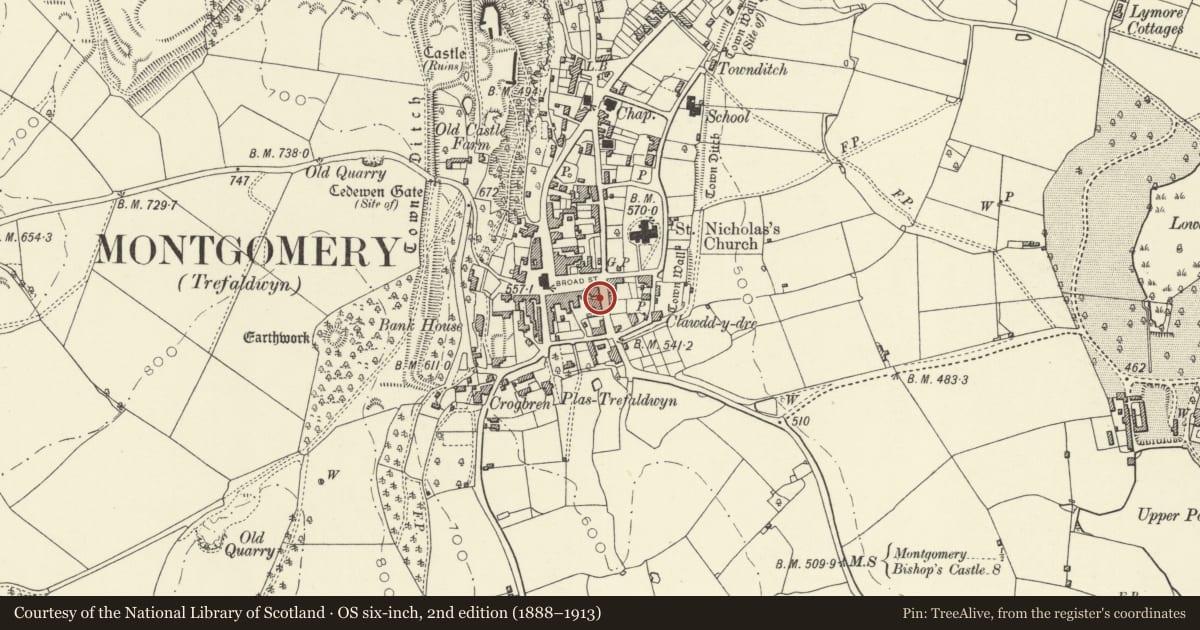 Ordnance Survey six-inch map, 2nd edition (1888–1913) covering the location of Hurdley House, Montgomery, Powys, with a pin at the register's coordinates