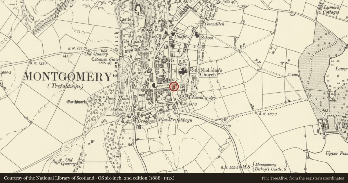 Ordnance Survey six-inch map, 2nd edition (1888–1913) covering the location of Pen-y-grisiau, Montgomery, Powys, with a pin at the register's coordinates
