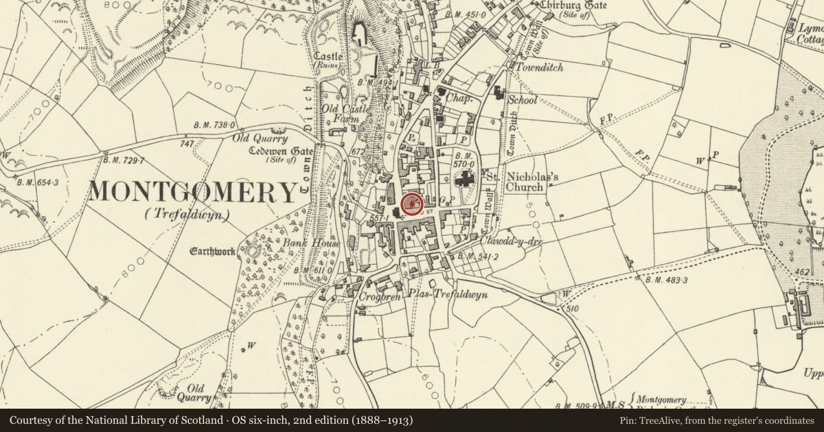 Ordnance Survey six-inch map, 2nd edition (1888–1913) covering the location of Premises and building occupied by Spar Grocers, Montgomery, Powys, with a pin at the register's coordinates