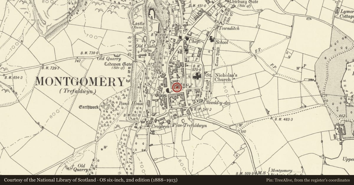 Ordnance Survey six-inch map, 2nd edition (1888–1913) covering the location of Gates and railings fronting plot of land to the E of the building occupied by Spar Grocers, Montgomery, Powys, with a pin at the register's coordinates