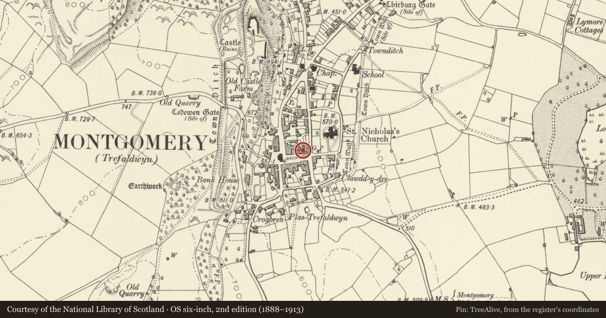 Ordnance Survey six-inch map, 2nd edition (1888–1913) covering the location of The Checkers Hotel, Montgomery, Powys, with a pin at the register's coordinates