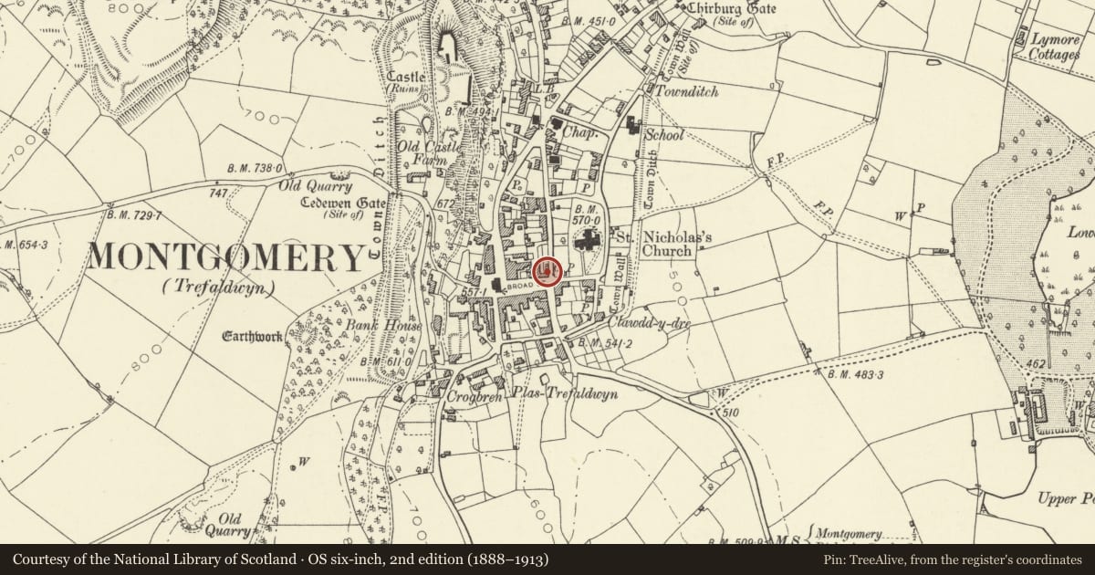 Ordnance Survey six-inch map, 2nd edition (1888–1913) covering the location of Is-y-bryn, Montgomery, Powys, with a pin at the register's coordinates