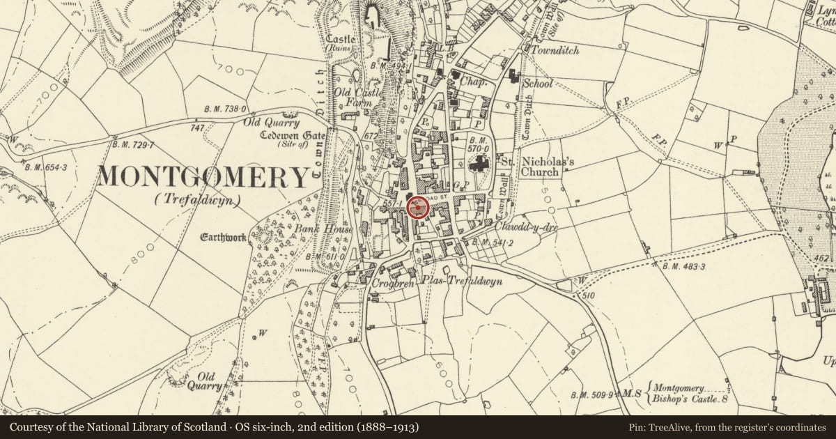 Ordnance Survey six-inch map, 2nd edition (1888–1913) covering the location of The Old Bank, Montgomery, Powys, with a pin at the register's coordinates
