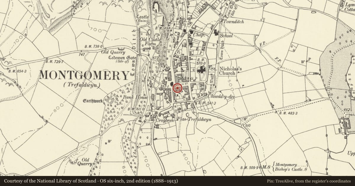 Ordnance Survey six-inch map, 2nd edition (1888–1913) covering the location of Tan-y-castell, Montgomery, Powys, with a pin at the register's coordinates