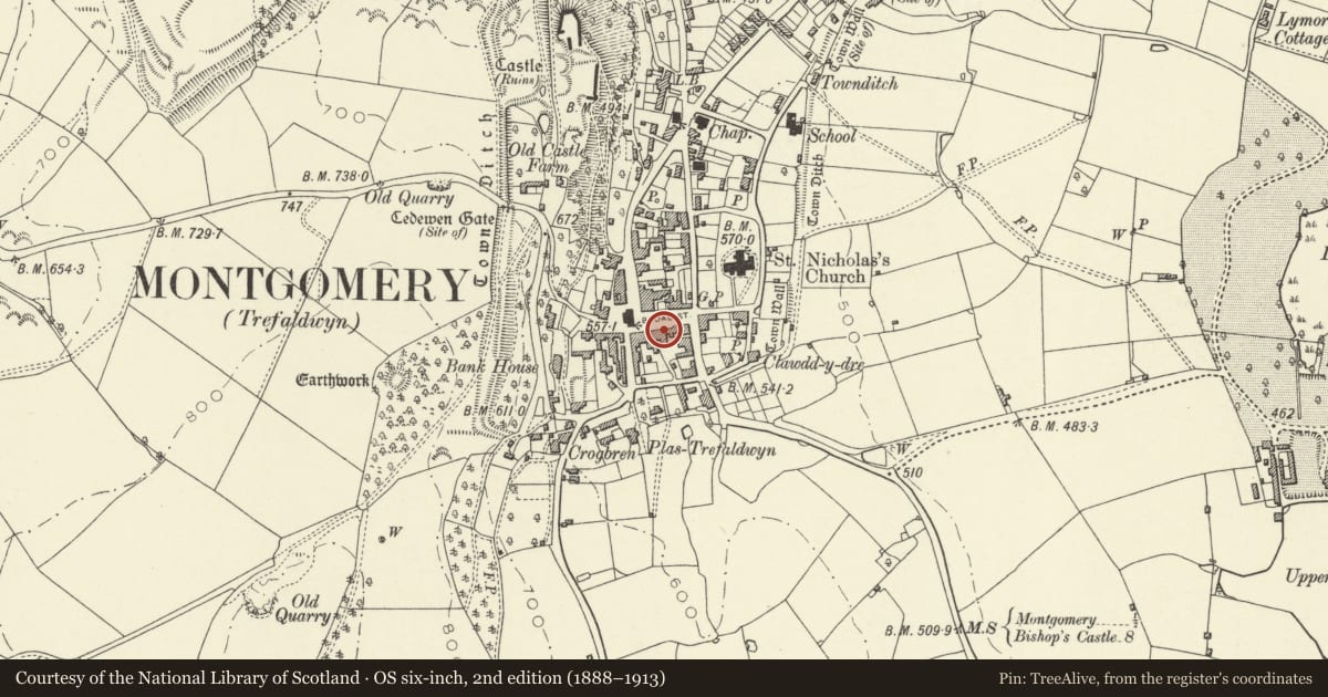 Ordnance Survey six-inch map, 2nd edition (1888–1913) covering the location of 7 & 9 Broad Street, Montgomery, Powys, with a pin at the register's coordinates