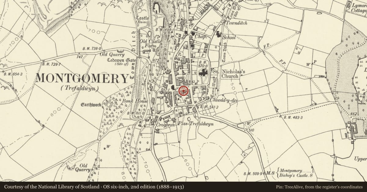 Ordnance Survey six-inch map, 2nd edition (1888–1913) covering the location of Castle Kitchen, Montgomery, Powys, with a pin at the register's coordinates
