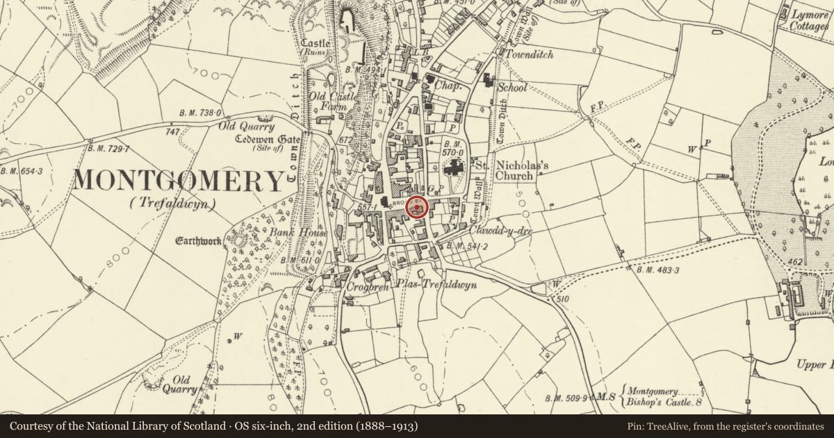 Ordnance Survey six-inch map, 2nd edition (1888–1913) covering the location of Bronwylfa, Montgomery, Powys, with a pin at the register's coordinates