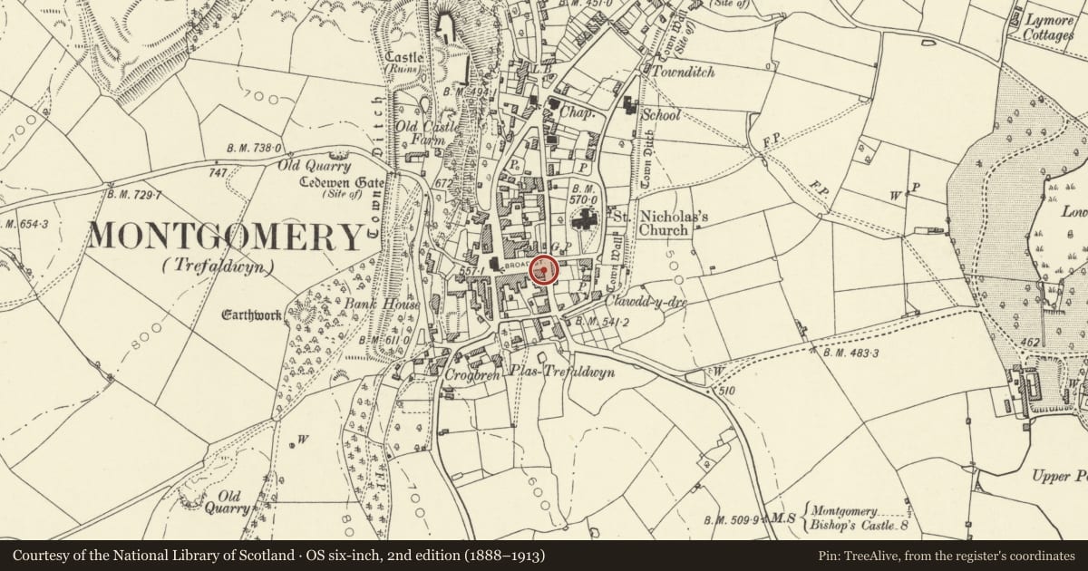 Ordnance Survey six-inch map, 2nd edition (1888–1913) covering the location of Cullen House and railings, Montgomery, Powys, with a pin at the register's coordinates