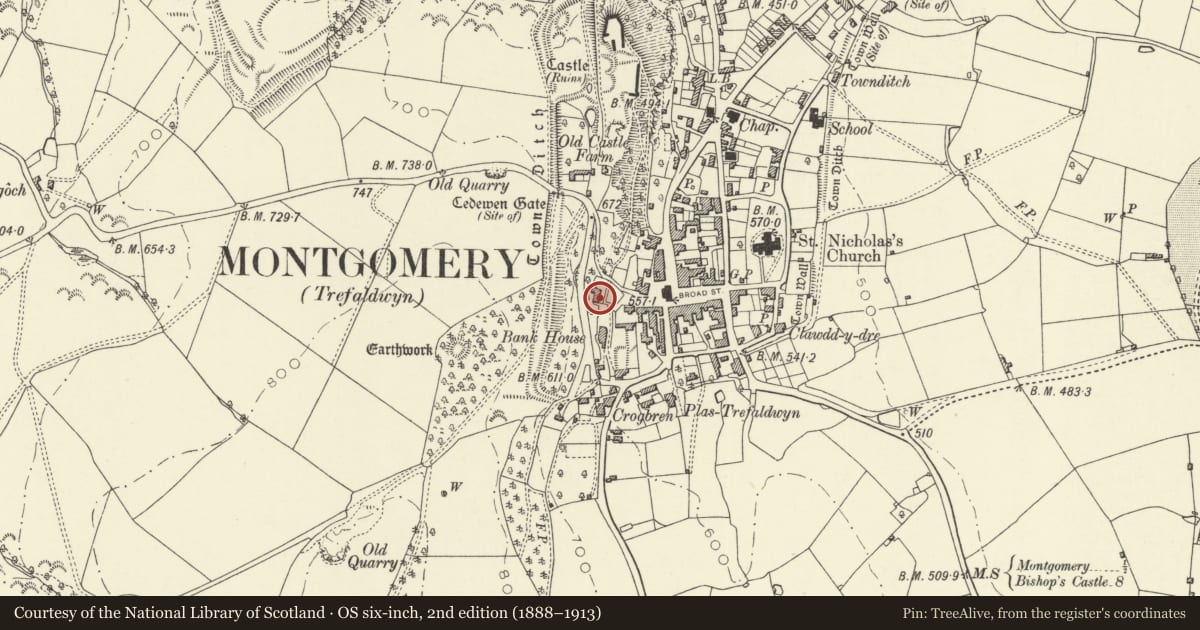 Ordnance Survey six-inch map, 2nd edition (1888–1913) covering the location of Ty Bryn, 1 Castle Terrace, Montgomery, Powys, with a pin at the register's coordinates