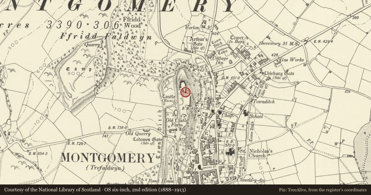 Ordnance Survey six-inch map, 2nd edition (1888–1913) covering the location of Montgomery Castle, Powys, with a pin at the register's coordinates