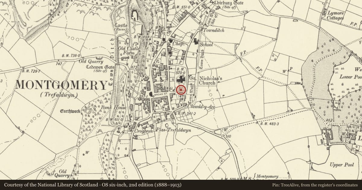 Ordnance Survey six-inch map, 2nd edition (1888–1913) covering the location of Churchyard wall, gate piers and gates, Montgomery, Powys, with a pin at the register's coordinates