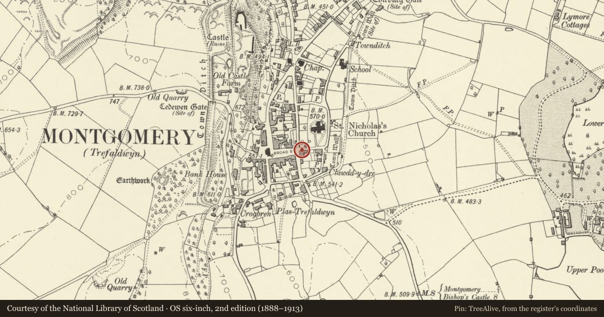 Ordnance Survey six-inch map, 2nd edition (1888–1913) covering the location of Ivy House, Montgomery, Powys, with a pin at the register's coordinates