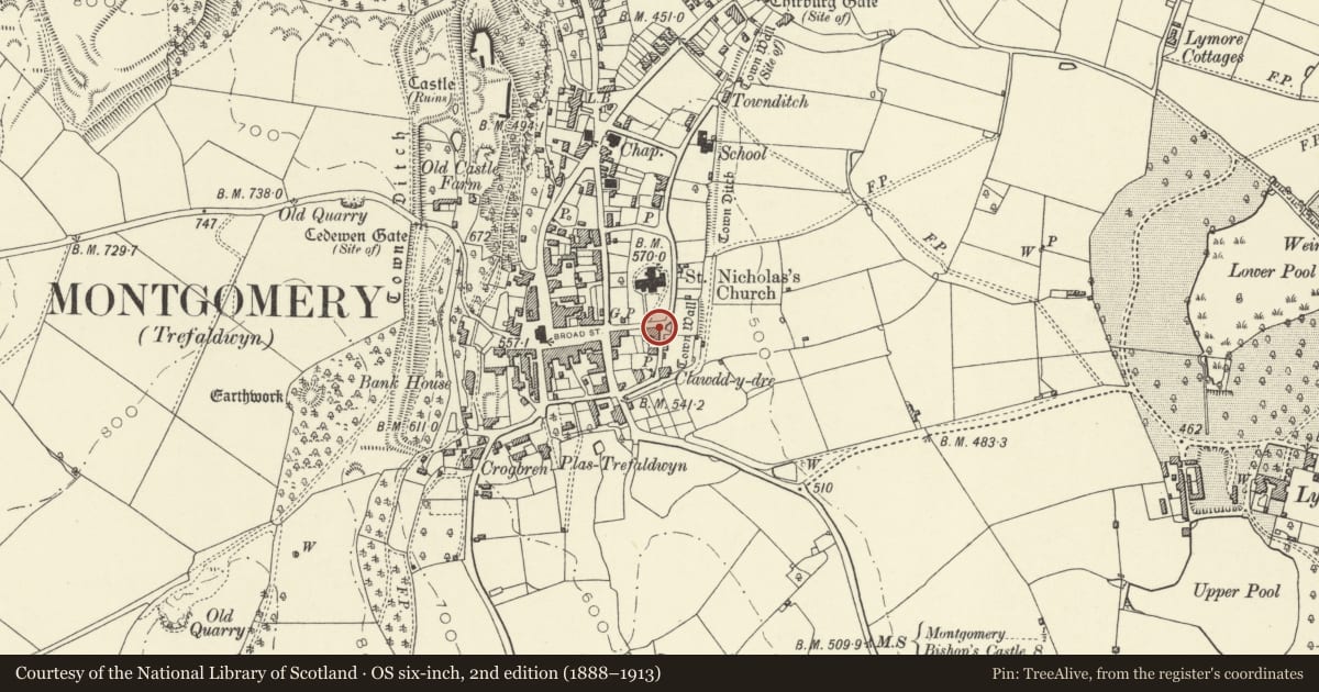 Ordnance Survey six-inch map, 2nd edition (1888–1913) covering the location of Bowling Green Cottage and railings, Montgomery, Powys, with a pin at the register's coordinates