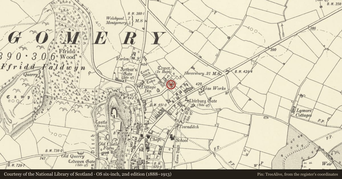 Ordnance Survey six-inch map, 2nd edition (1888–1913) covering the location of Former Gaol Gatehouse (Oakfield Lodge and The Gaol House), Montgomery, Powys, with a pin at the register's coordinates