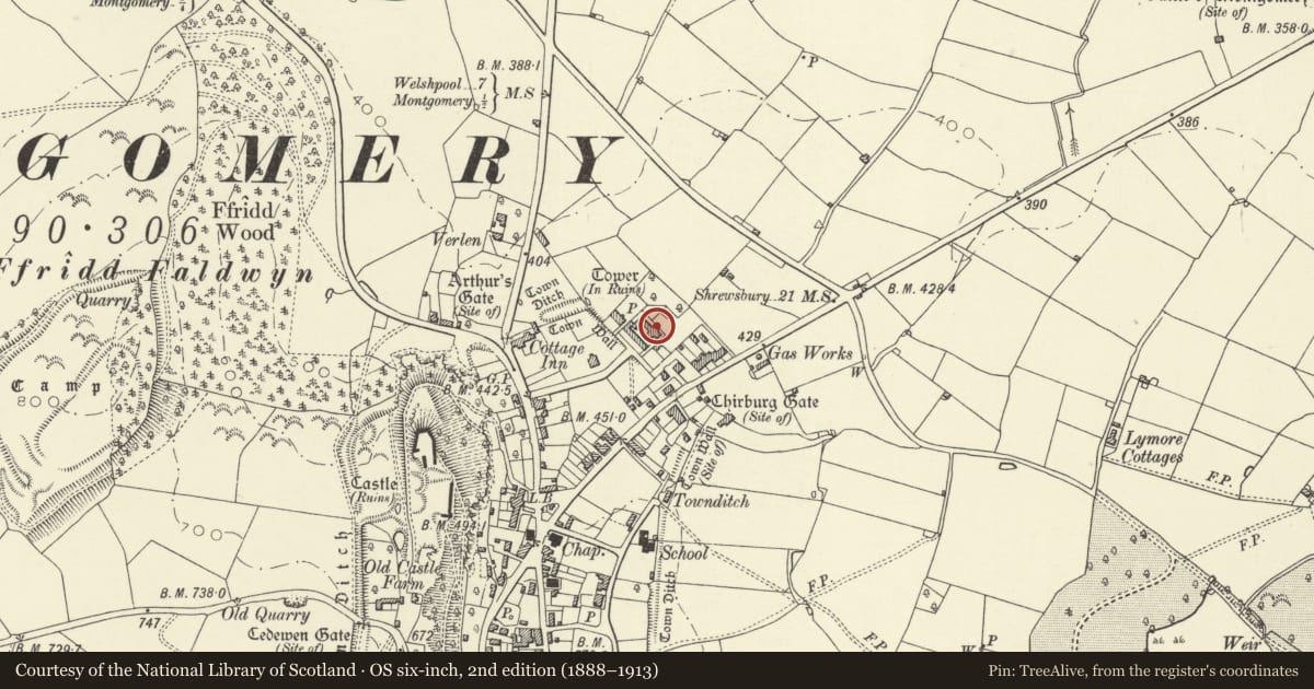 Ordnance Survey six-inch map, 2nd edition (1888–1913) covering the location of The Old Gaol and attached former cell block wall, Montgomery, Powys, with a pin at the register's coordinates