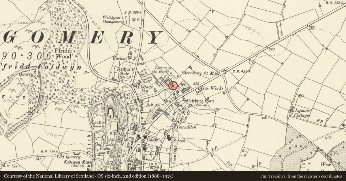 Ordnance Survey six-inch map, 2nd edition (1888–1913) covering the location of Howard's End, Montgomery, Powys, with a pin at the register's coordinates