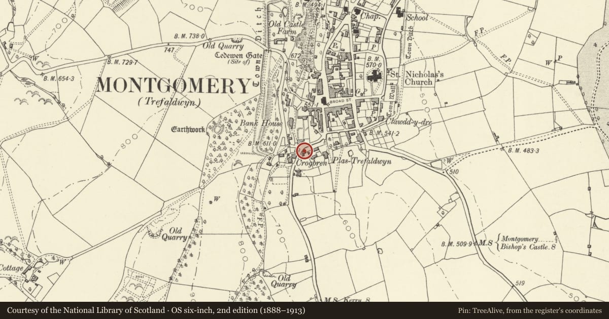Ordnance Survey six-inch map, 2nd edition (1888–1913) covering the location of The Ramparts, Montgomery, Powys, with a pin at the register's coordinates