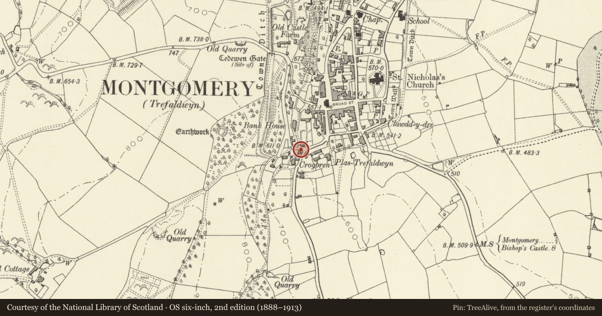 Ordnance Survey six-inch map, 2nd edition (1888–1913) covering the location of Bank Cottage, Montgomery, Powys, with a pin at the register's coordinates