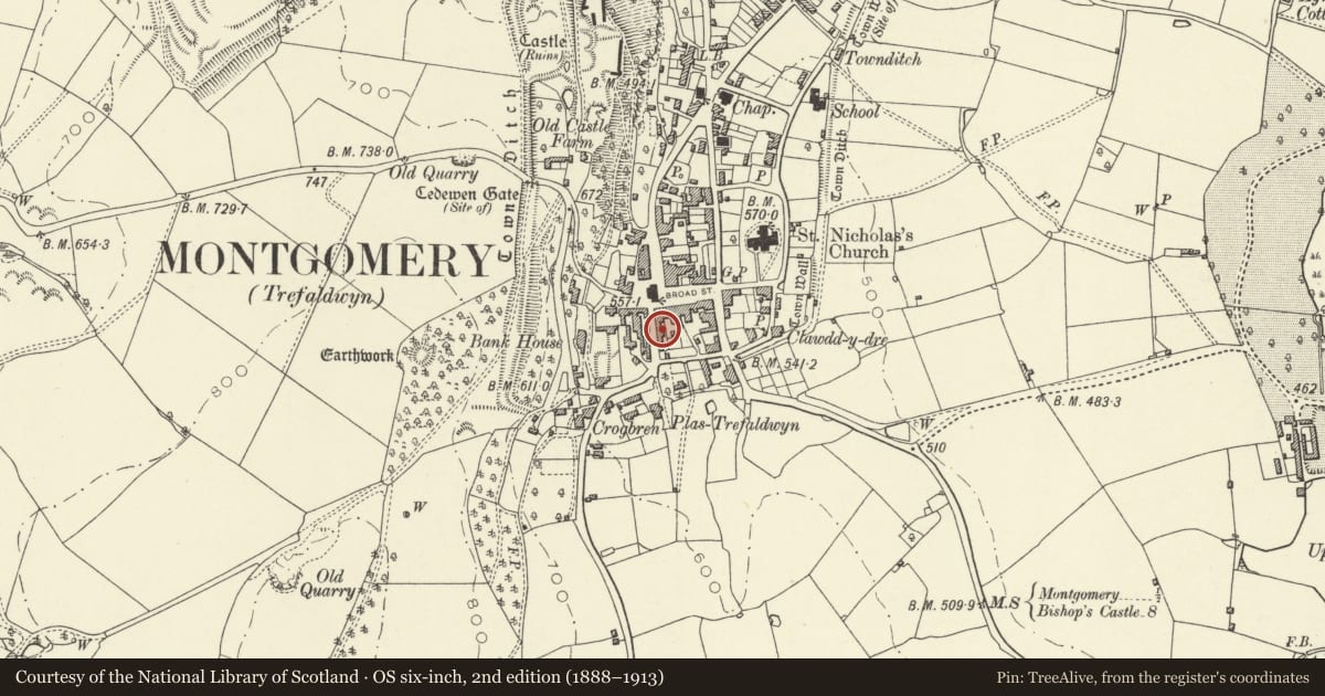 Ordnance Survey six-inch map, 2nd edition (1888–1913) covering the location of Corlan, Montgomery, Powys, with a pin at the register's coordinates