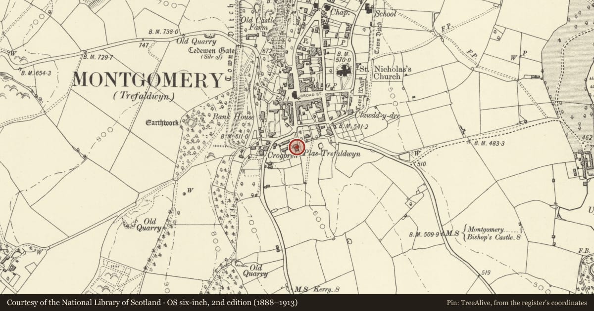 Ordnance Survey six-inch map, 2nd edition (1888–1913) covering the location of Plas Trefaldwyn, Montgomery, Powys, with a pin at the register's coordinates