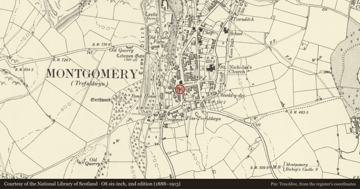 Ordnance Survey six-inch map, 2nd edition (1888–1913) covering the location of Braemar House, Montgomery, Powys, with a pin at the register's coordinates