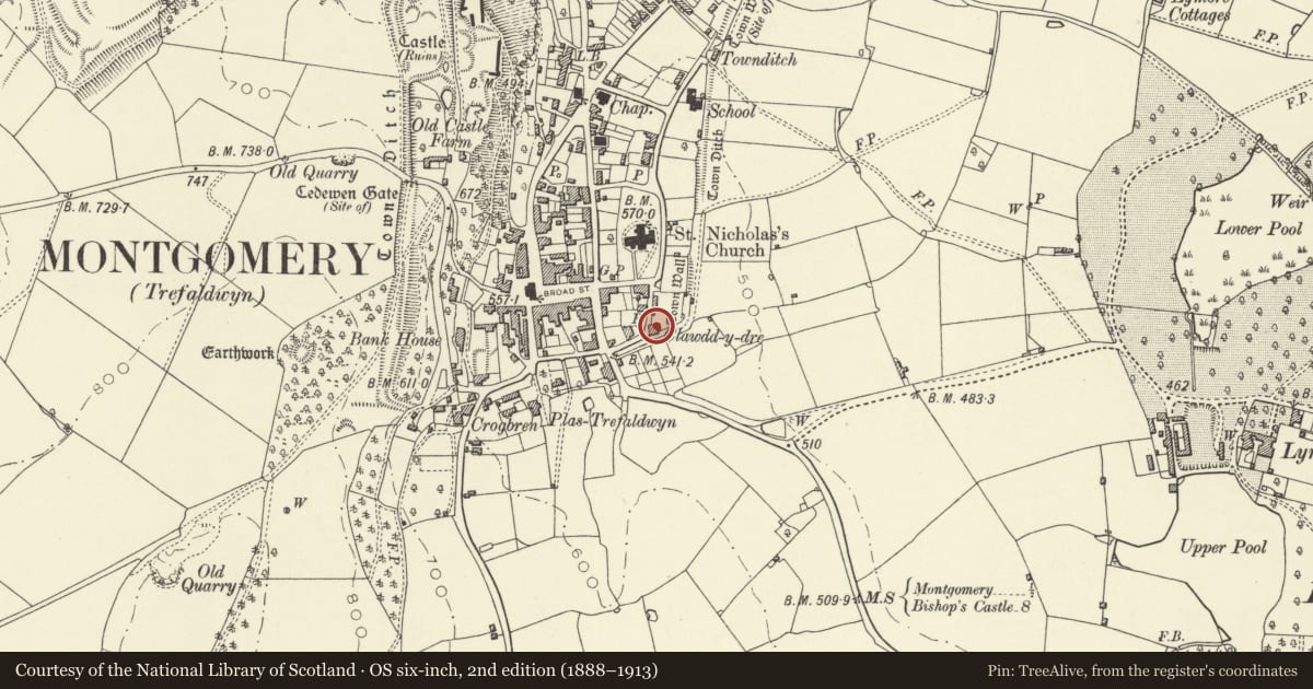 Ordnance Survey six-inch map, 2nd edition (1888–1913) covering the location of Clawdd-y-dre, Montgomery, Powys, with a pin at the register's coordinates