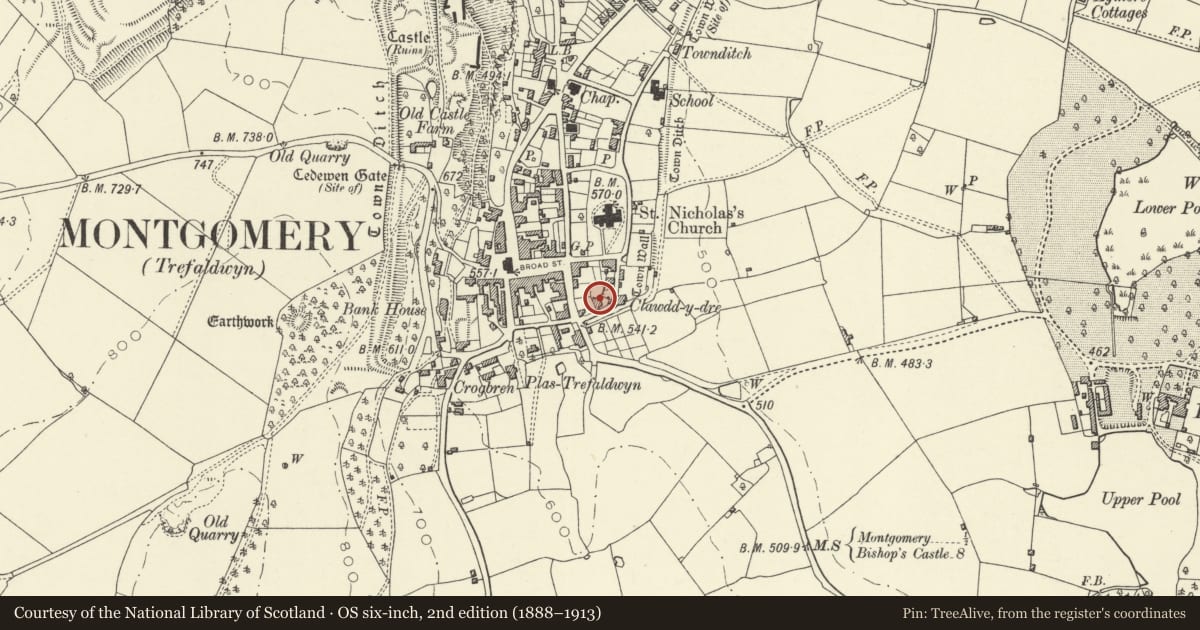 Ordnance Survey six-inch map, 2nd edition (1888–1913) covering the location of Plas Gwyn, Montgomery, Powys, with a pin at the register's coordinates