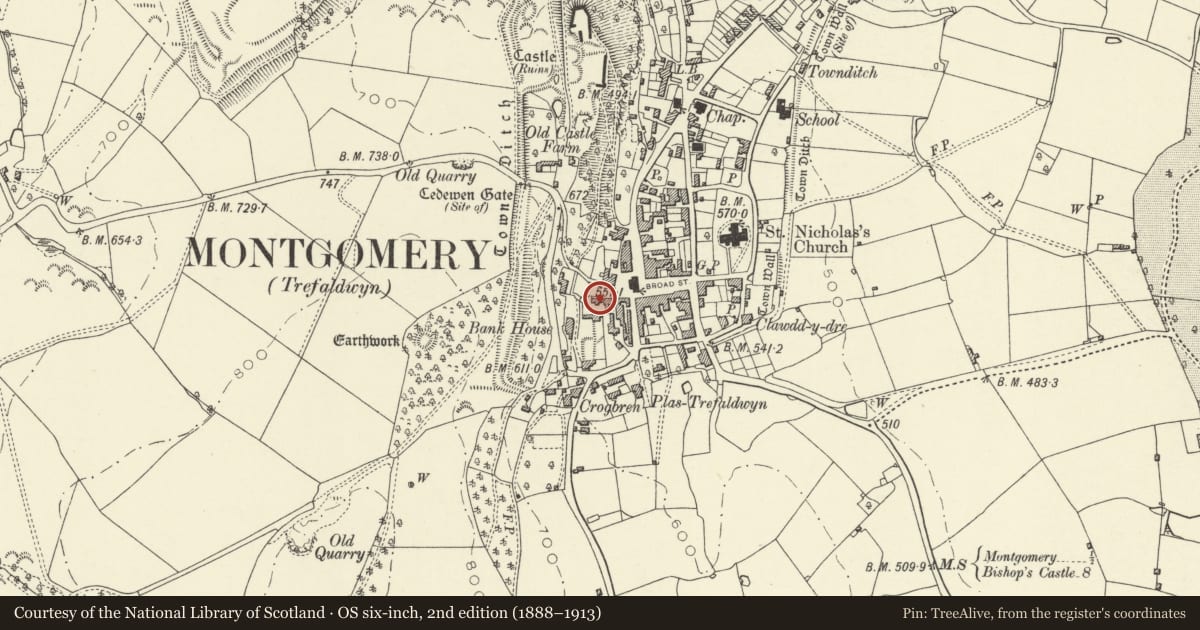 Ordnance Survey six-inch map, 2nd edition (1888–1913) covering the location of Bryn Cadwrfa, Montgomery, Powys, with a pin at the register's coordinates