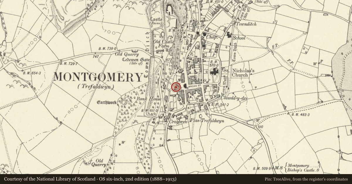 Ordnance Survey six-inch map, 2nd edition (1888–1913) covering the location of The Conduit, Montgomery, Powys, with a pin at the register's coordinates