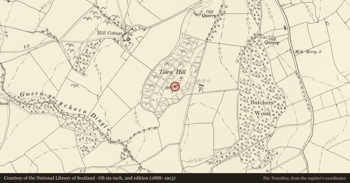 Ordnance Survey six-inch map, 2nd edition (1888–1913) covering the location of The County War Memorial, Montgomery, Powys, with a pin at the register's coordinates