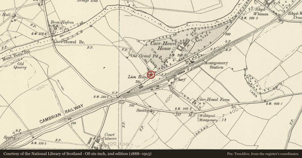 Ordnance Survey six-inch map, 2nd edition (1888–1913) covering the location of The Lion Hotel, Montgomery, Powys, with a pin at the register's coordinates