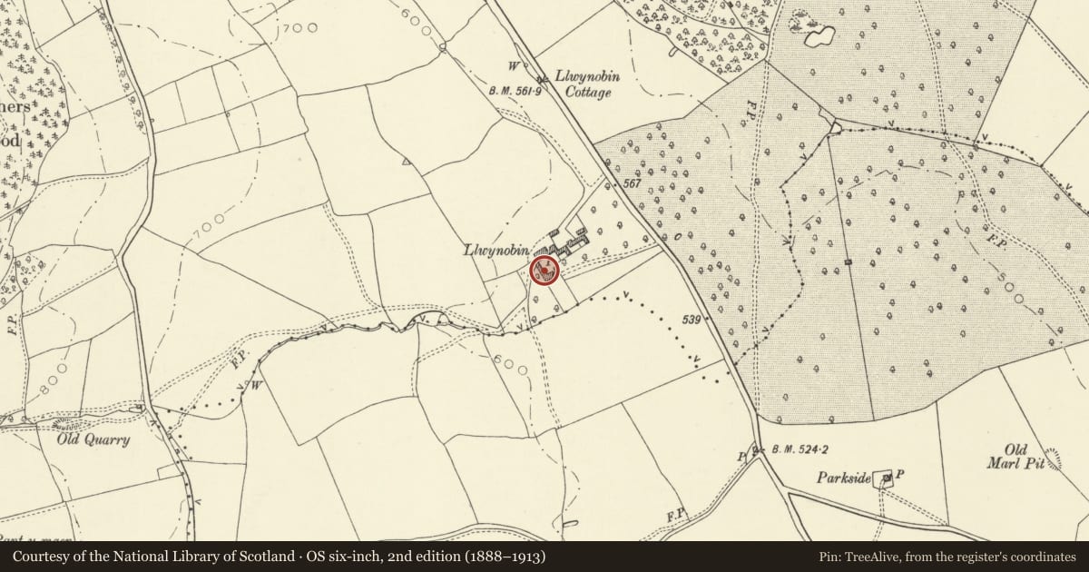 Ordnance Survey six-inch map, 2nd edition (1888–1913) covering the location of Llwynobin Farmhouse and adjoining range of farm buildings on SW side of yard, Montgomery, Powys, with a pin at the register's coordinates
