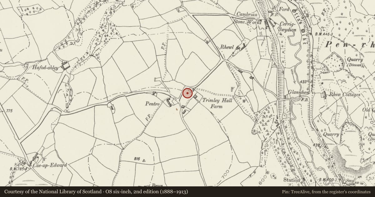Ordnance Survey six-inch map, 2nd edition (1888–1913) covering the location of Trimley Hall, Llanfynydd, Flintshire, with a pin at the register's coordinates