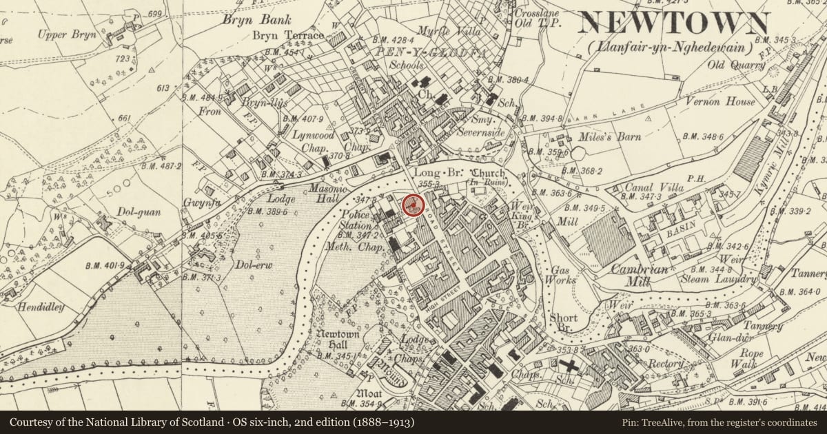 Ordnance Survey six-inch map, 2nd edition (1888–1913) covering the location of Telephone Call-box adjoining Former Flannel Exchange (now Regent Cinema), Newtown and Llanllwchaiarn, Powys, with a pin at the register's coordinates