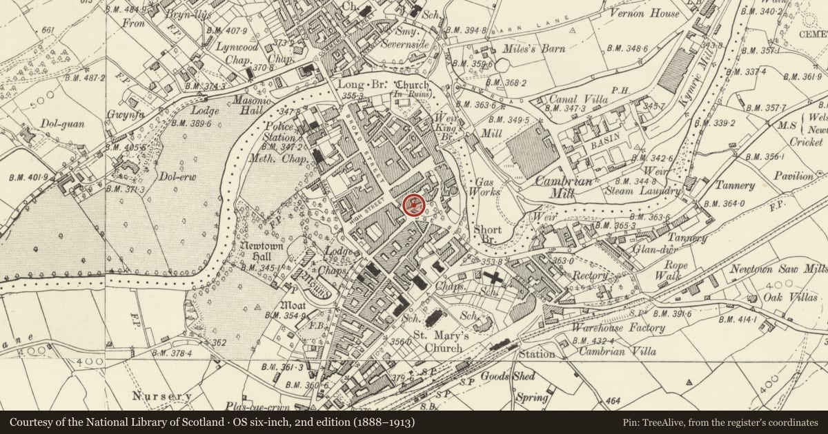Ordnance Survey six-inch map, 2nd edition (1888–1913) covering the location of Prodent Dental Studio, Newtown and Llanllwchaiarn, Powys, with a pin at the register's coordinates