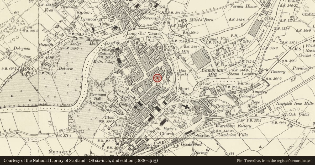 Ordnance Survey six-inch map, 2nd edition (1888–1913) covering the location of Bryn Aderyn, Newtown and Llanllwchaiarn, Powys, with a pin at the register's coordinates
