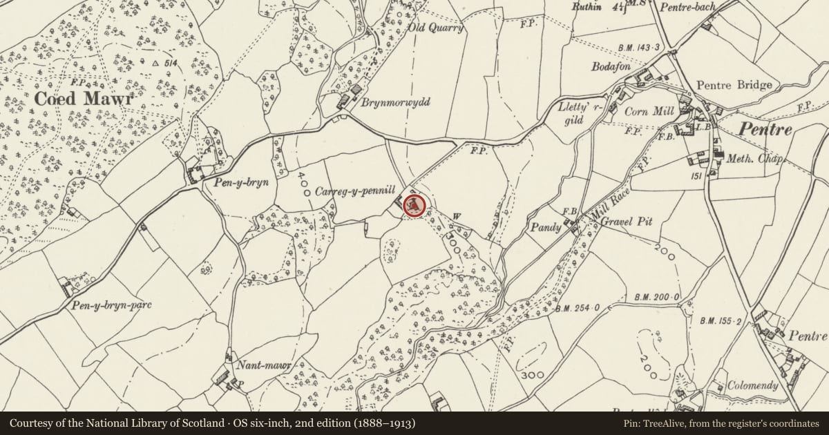 Ordnance Survey six-inch map, 2nd edition (1888–1913) covering the location of Carreg-y-Pennill, Llanrhaeadr yng Nghinmeirch, Denbighshire, with a pin at the register's coordinates