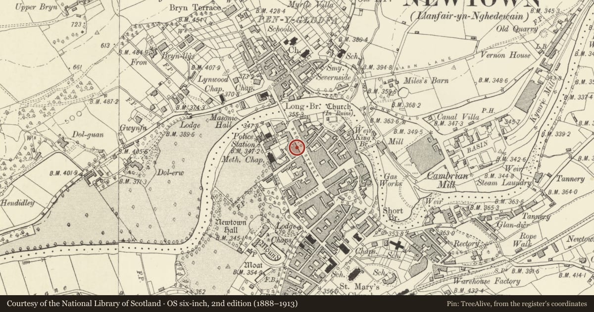 Ordnance Survey six-inch map, 2nd edition (1888–1913) covering the location of The Victoria Vaults PH, Newtown and Llanllwchaiarn, Powys, with a pin at the register's coordinates