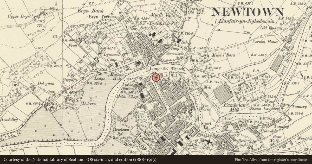 Ordnance Survey six-inch map, 2nd edition (1888–1913) covering the location of The Elephant and Castle Hotel, Newtown and Llanllwchaiarn, Powys, with a pin at the register's coordinates