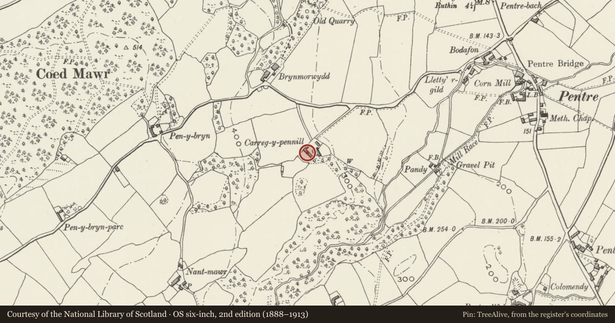 Ordnance Survey six-inch map, 2nd edition (1888–1913) covering the location of Agricultural Range at Carreg-y-Pennill, Llanrhaeadr yng Nghinmeirch, Denbighshire, with a pin at the register's coordinates